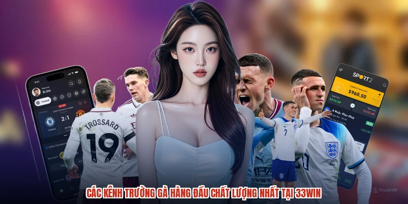 Các kênh trường gà hàng đầu chất lượng nhất tại 33Win