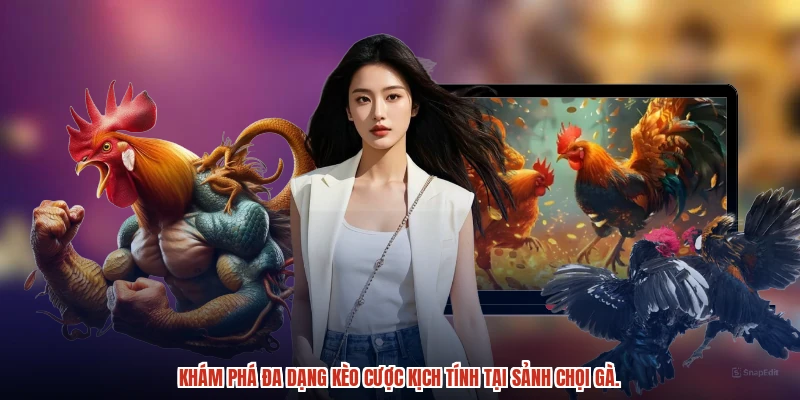 Khám phá đa dạng kèo cược kịch tính tại sảnh chọi gà.