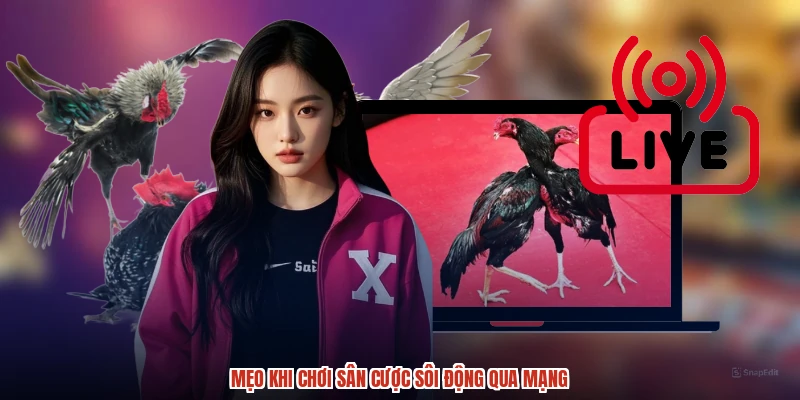 Mẹo khi chơi sân cược sôi động qua mạng