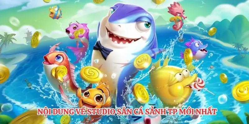 Nội dung về studio săn cá sảnh TP mới nhất