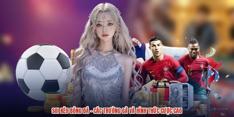 Soi Kèo Bóng Đá - Các Trường Gà Và Hình Thức Cược Cao