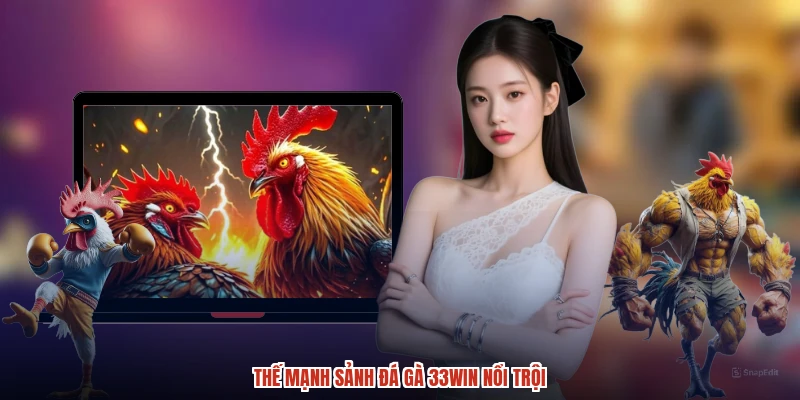 Thế mạnh sảnh đá gà 33Win nổi trội