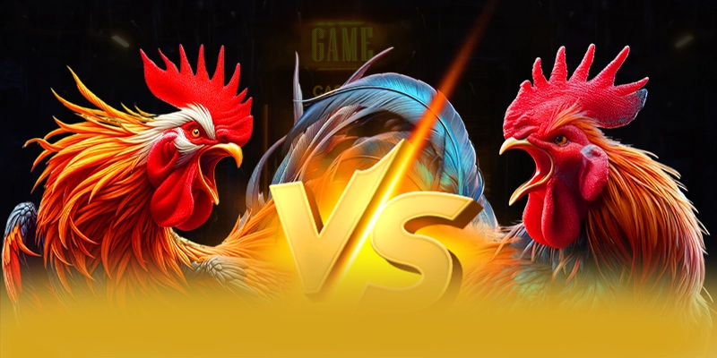 Giới thiệu 8xbet - Cổng game bài được yêu thích nhất 2026