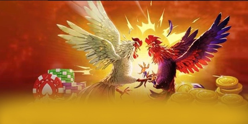 Cùng trải nghiệm 8XBET - Cổng game đẳng cấp tại Việt Nam